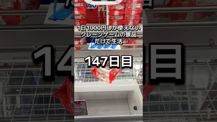 1日1000円しか使えないクレーンゲームの景品だけで生活147日目 #clawmachine #クレーンゲーム #ゲームセンター #ufoキャッチャー #ゲーセン #フック設定