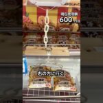 1日1000円しか使えないクレーンゲームの景品だけで生活151日目 #clawmachine #クレーンゲーム #ゲームセンター #ufoキャッチャー #ゲーセン #フック設定