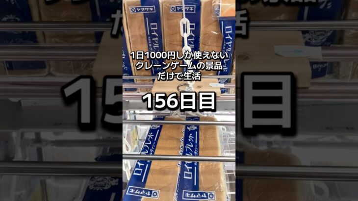 1日1000円しか使えないクレーンゲームの景品だけで生活156日目 #clawmachine #クレーンゲーム #ゲームセンター #ufoキャッチャー #ゲーセン #フック設定