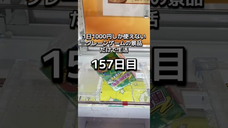 1日1000円しか使えないクレーンゲームの景品だけで生活157日目 #clawmachine #クレーンゲーム #ゲームセンター #ufoキャッチャー #ゲーセン #フック設定