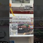 1日1000円しか使えないクレーンゲームの景品だけで生活158日目 #clawmachine #クレーンゲーム #ゲームセンター #ufoキャッチャー #ゲーセン #フック設定