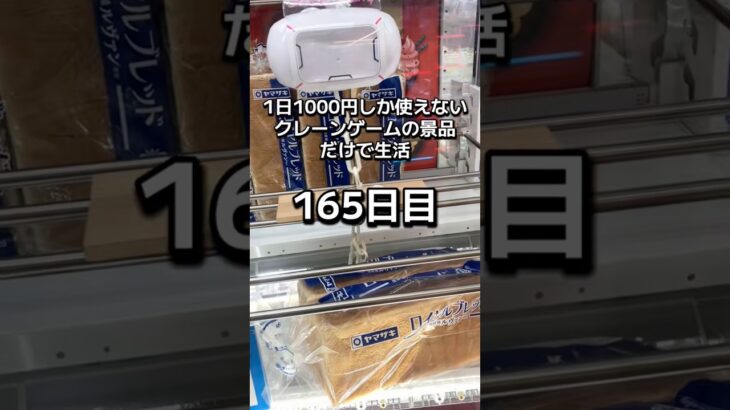 1日1000円しか使えないクレーンゲームの景品だけで生活165日目 #clawmachine #クレーンゲーム #ゲームセンター #ufoキャッチャー #ゲーセン #フック設定