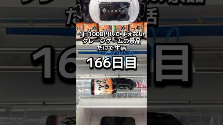 1日1000円しか使えないクレーンゲームの景品だけで生活166日目 #clawmachine #クレーンゲーム #ゲームセンター #ufoキャッチャー #ゲーセン #フック設定