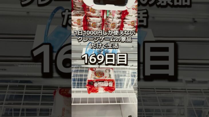 1日1000円しか使えないクレーンゲームの景品だけで生活169日目 #clawmachine #クレーンゲーム #ゲームセンター #ufoキャッチャー #ゲーセン #フック設定