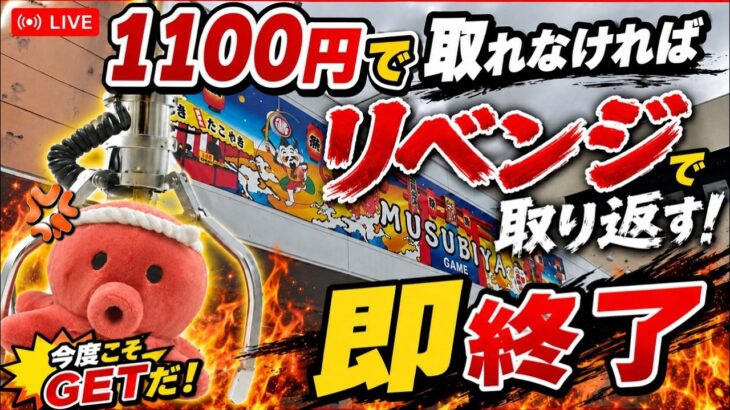 【取れなかったら即終了】リベンジ！1個1100円で取れなかったら直ぐに配信終わります！【予算5500円】#クレーンゲーム #ゲームセンター