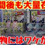 【クレーンゲーム】投入から2週間経っても大量にある人気景品!