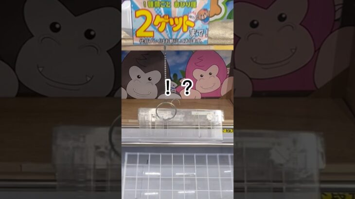 【クレーンゲーム】2つ目でまさかのハプニング…😳 #クレーンゲーム #ゲームセンター #ゲーセン #ufoキャッチャー #クレゲ #フック設定 #ハプニング