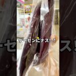 爆獲祭2026夏を開催する浜松鑑定団高塚店の景品が凄かった！？　#クレーンゲーム #UFOキャッチャー #ゲームセンター