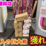 【業者レベル！？】クレーンゲーム日本一獲れるお店で大量の巨大箱の景品の取るコツを紹介 【ベネクス浦和店】 #2026年7月