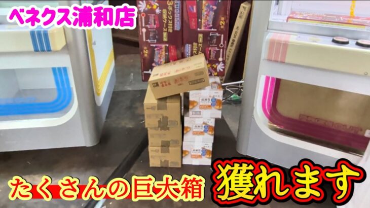 【業者レベル！？】クレーンゲーム日本一獲れるお店で大量の巨大箱の景品の取るコツを紹介 【ベネクス浦和店】 #2026年7月
