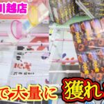 【お得に取りたいなら観て！】クレーンゲーム日本一獲れるお店の景品の取るコツを紹介 【ベネクス川越店】 #2026年7月