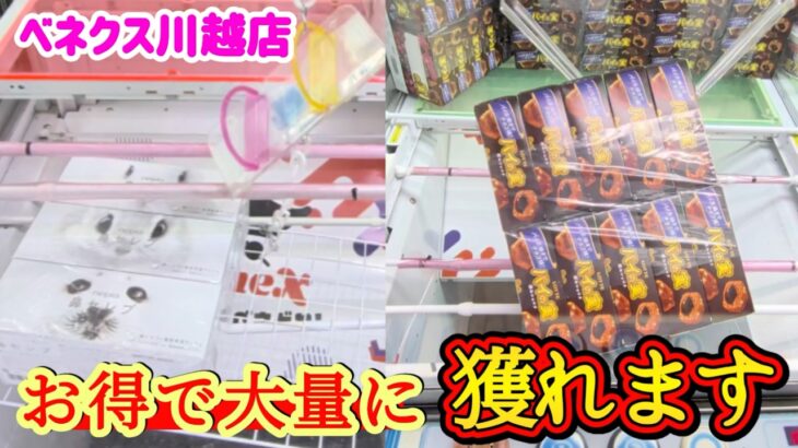 【お得に取りたいなら観て！】クレーンゲーム日本一獲れるお店の景品の取るコツを紹介 【ベネクス川越店】 #2026年7月