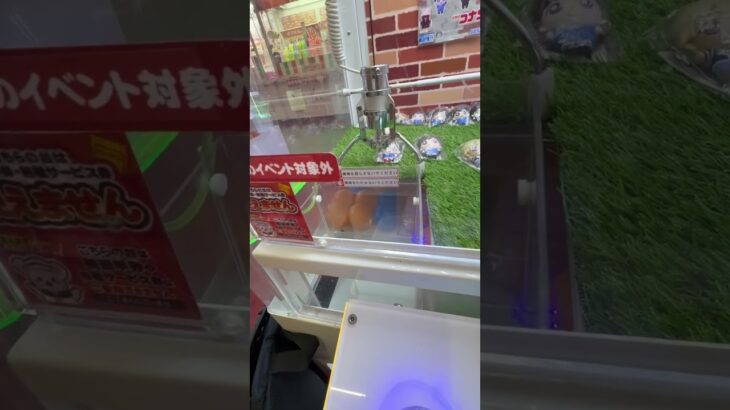 260727コナン #クレーンゲーム #ufoキャッチャー #小山教授