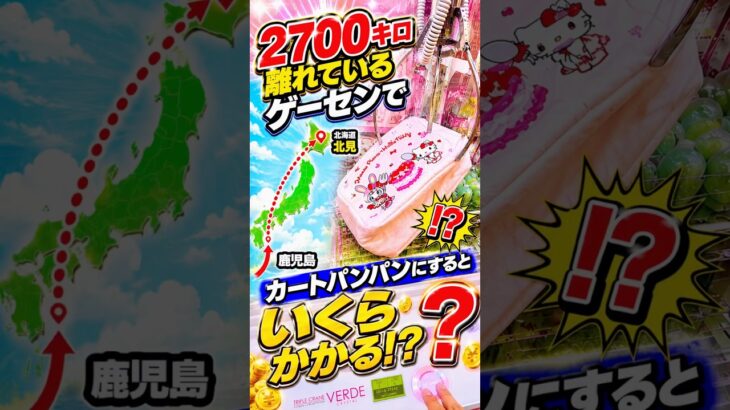 2700kmかけて行った甲斐がありました#shorts #クレーンゲーム #ufoキャッチャー # ゲーセン #ゲームセンター #arcade