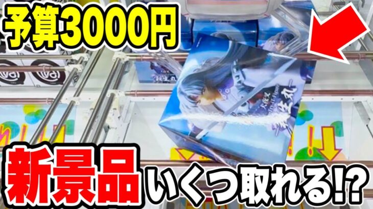 【クレーンゲーム】予算3000円で新景品はいくつ取れる！？
