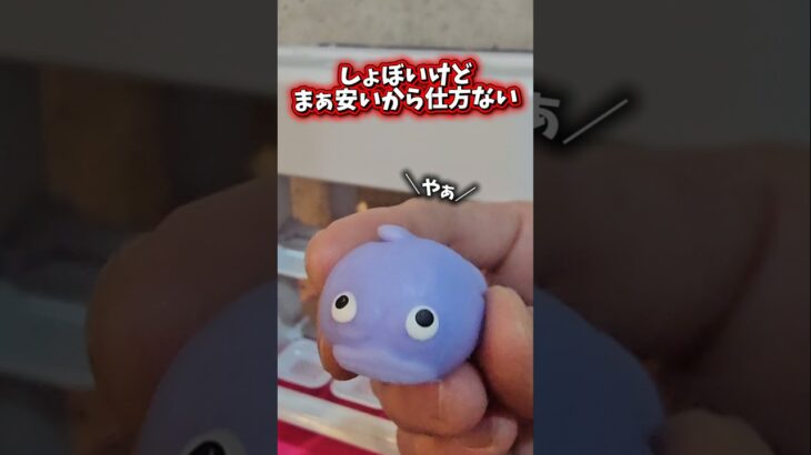 【3,000円代】かなり変わったクレーンゲームのおもちゃを買ってレビューしてみた！ #UFOキャッチャー #おもちゃ #クレーンゲーム