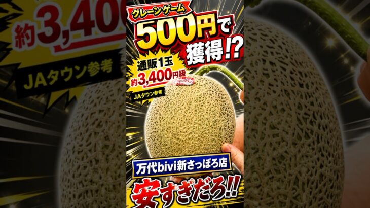 通販約3,400円級のメロンが500円！？クレーンゲーム食品景品がヤバい