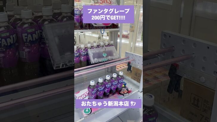 【クレーンゲーム】リング設定でファンタ5本が200円！？😳 #クレーンゲーム #UFOキャッチャー #リング設定 #ファンタ #ドリンク #クレーンゲーム攻略 #ゲームセンター #景品GET