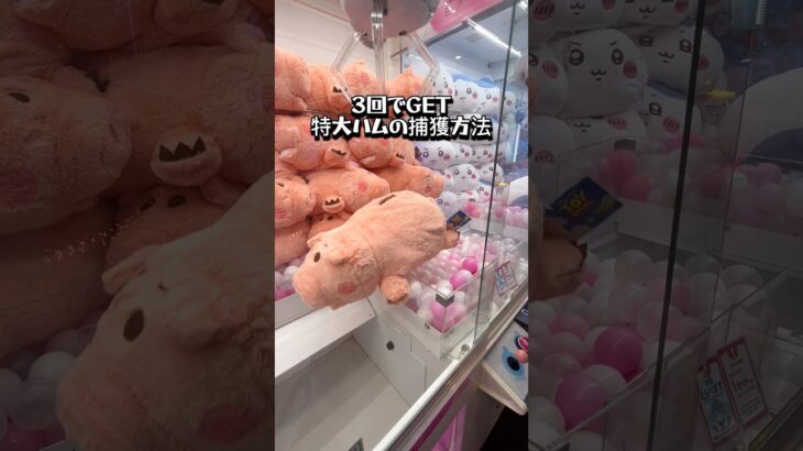 【トイストーリー5】BIG！だけど案外持ち上がる！コツは… #クレーンゲーム #ゲーセン #ufoキャッチャー #toystory #toystory5 #トイストーリー #ぬいぐるみ #クレゲ#攻略