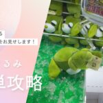 【クレーンゲーム】7/14 ラウンドワンでぬいぐるみを簡単に取る取り方のコツをお見せします！