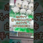 【クレーンゲーム】7/19 ラウンドワンでホロライブプロダクションの寝そべりぬいぐるみ 白上フブキを3手で簡単に取る取り方のコツをお見せします！ #shorts