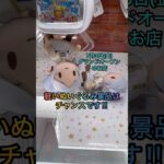 【クレーンゲーム攻略】7月3日グランドオープンのお店の確率機ぬいぐるみ設定