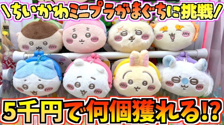 【ちいかわクレゲ】全8種を5千円で何個獲れるか!?ちいかわ最新プライズミニプラがまぐちに挑戦！【ちいかわグッズ】【ちいかわクレーンゲーム】【UFOキャッチャー】【ちい活vlog】【chiikawa】