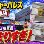 【クレーンゲーム】【#9】新景品＆人気景品に挑戦！まさかの挟まり連発…トレジャーパレス泉南店