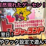 突然現れた新店舗にオープン翌日に遊びに行く！！橋渡しやフック設定で遊んできた！【トレジャーランド南港ATC店】【クレーンゲーム】【JapaneseClawMachine】【인형뽑기】【日本夾娃娃】