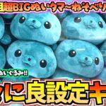 【教育番組クレゲ】まさかの良設定！？教育番組最新プライズ超BIGぬいぐるみタマ〜ねそべり〜に挑戦！【教育番組タマ】【教育番組グッズ】【クレーンゲーム】【UFOキャッチャー】【最新プライズ】
