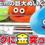 【クレーンゲーム＆開封】いくらで取れるの…！？ドラクエ新景品の超巨大スライムを取れるまで挑戦した！！『ドラゴンクエスト(DQ)☆やわらかもっち～りぬいぐるみ』DragonQuest/2026/40周年
