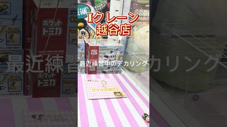 【クレーンゲーム】フック掛けが上手になれば値上げラッシュに負けない！フック設定🪝ロングチェーン⛓️デカリング🎪Iクレーン越谷店Iクレーン越谷店#クレーンゲーム #Iクレーン#越谷店#雑貨