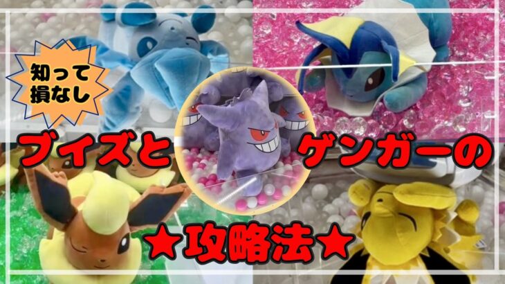 【NEWイーブイフレンズ】絶対にGETするならこれは知っておこう！今回の構造＆攻略法は⁉　#ポケモン #pokemon #ぬいぐるみ #クレーンゲーム