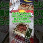 【クレーンゲーム】福岡に新OPENするゲーセンがヤバすぎる #遊べるスーパー万代#万代宗像店#万代