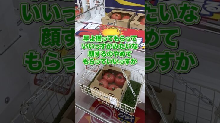 【クレーンゲーム】福岡に新OPENするゲーセンがヤバすぎる #遊べるスーパー万代#万代宗像店#万代