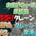 はしごクレーン　新店取り比べ旅　#PINOSPAあびこ　#お宝アミューズ岸和田　#クレーンマート泉佐野