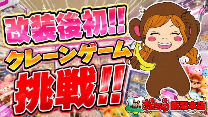 【クレーンゲーム】改装後初！おたちゅう新潟本店でリング＆S字フックに大苦戦！？🔥