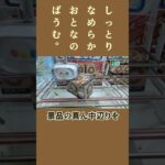【クレーンゲーム】しっとりなめらかおとなのばうむ。２手！【フルール】#Shorts
