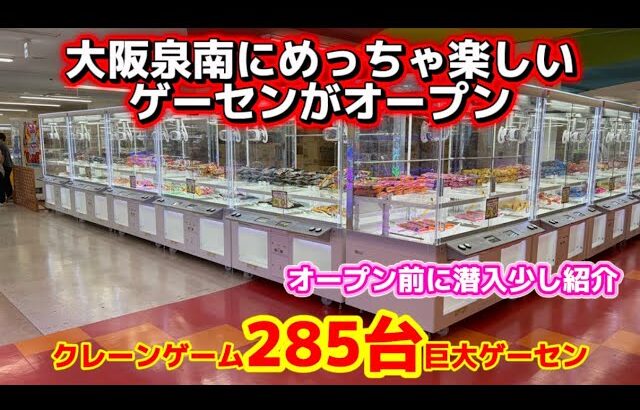 【激アツ店】大阪南部にデッカイゲーセンがオープン！少しだけお見せします！(UFOキャッチャー クレーンゲーム)