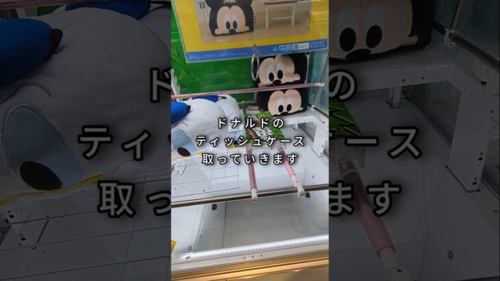 彼女が喜びそうな景品を取って帰ったら…🤭💕#顔出しなしカップル #おすすめにのりたい #クレーンゲーム #UFOキャッチャー #カップル