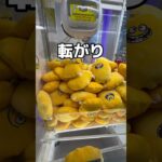 巨大ナゲットソースとナゲットを乱獲してみた#UFOキャッチャー #クレーンゲーム  #ゲームセンター #攻略 #shorts  #youtubeshorts