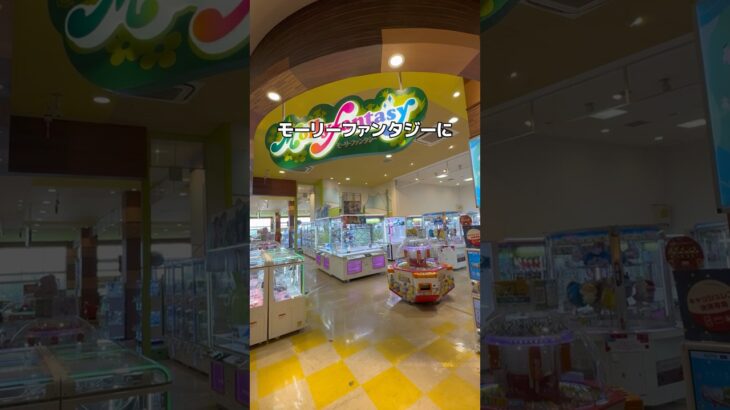 モーリーファンタジーで暴れてみた#UFOキャッチャー #クレーンゲーム  #ゲームセンター #攻略 #shorts  #youtubeshorts