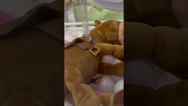 馬を裏ワザで取ってみた#UFOキャッチャー #クレーンゲーム  #ゲームセンター #攻略 #shorts  #youtubeshorts