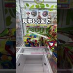 巨大な麦茶を取ってみた#UFOキャッチャー #クレーンゲーム  #ゲームセンター #攻略 #shorts  #youtubeshorts
