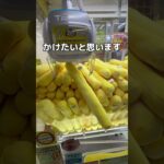 フライドポテトを大量に取りまくってみた#UFOキャッチャー #クレーンゲーム  #ゲームセンター #攻略 #shorts  #youtubeshorts