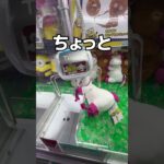 幻の動物を取ってみた#UFOキャッチャー #クレーンゲーム  #ゲームセンター #攻略 #shorts  #youtubeshorts