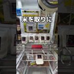 ゲームセンターで取った炊飯器を使ってみた#UFOキャッチャー #クレーンゲーム  #ゲームセンター #攻略 #shorts  #youtubeshorts