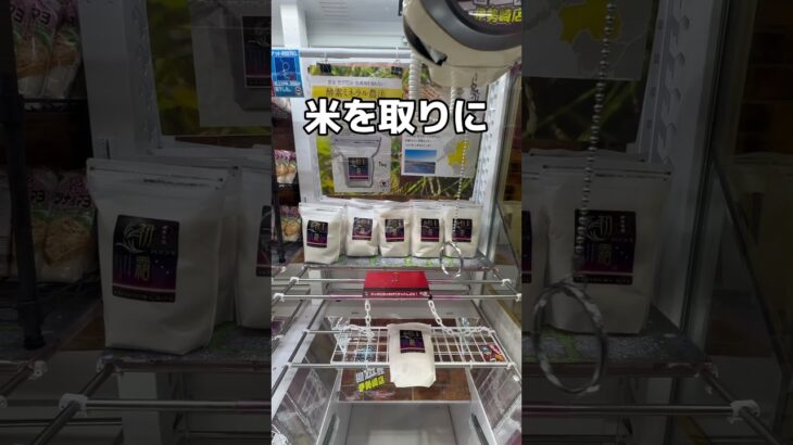 ゲームセンターで取った炊飯器を使ってみた#UFOキャッチャー #クレーンゲーム  #ゲームセンター #攻略 #shorts  #youtubeshorts