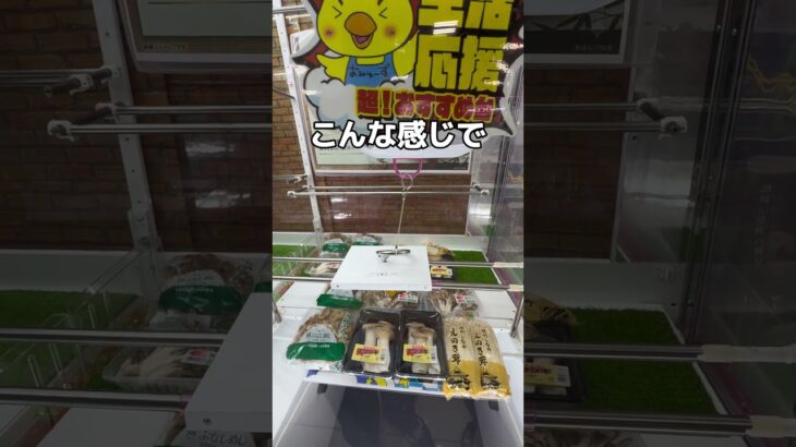 流し太そうめん大会を開催してみた#UFOキャッチャー #クレーンゲーム  #ゲームセンター #攻略 #shorts  #youtubeshorts