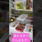 ペヤングとUFOどっち派？ #クレーンゲーム #アミューズメント限定 #ゲームセンター #クレーンゲーム攻略 #ufoキャッチャー #ゲーセン #クレーンゲーム景品
